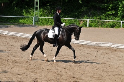 dsc_6080.jpg