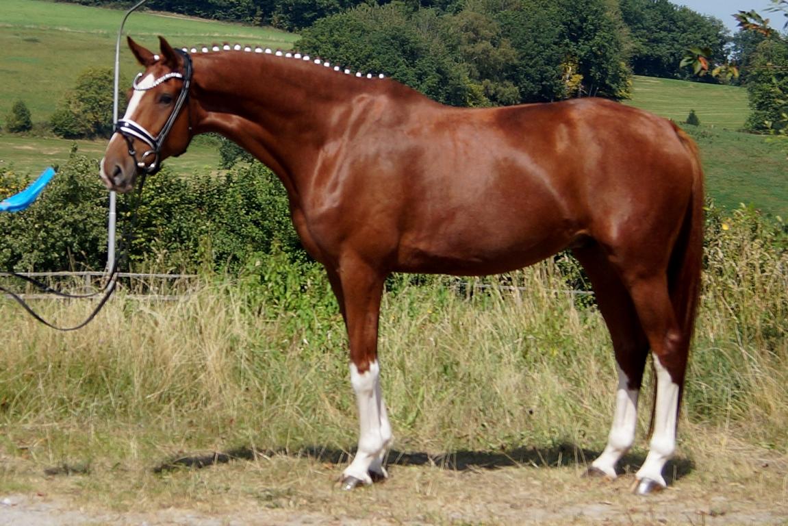 Zelentano