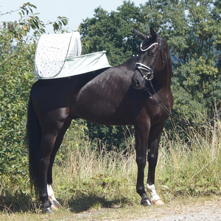 Fiorino