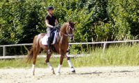 DSC00950