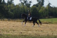diocello_gal_dsc07680