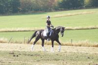 diocello_gal_dsc07754