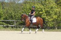 fantina_gal_dsc03609
