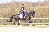 fiorello_gal_dsc01250