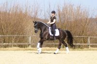 fiorello_gal_dsc01404