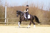 fiorello_gal_dsc01406