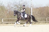 fiorello_gal_dsc01454