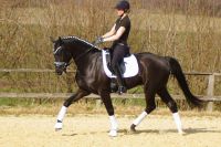 fiorello_gal_dsc02028