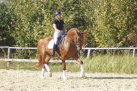floreana_gal_dsc06354