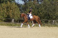 floreana_gal_dsc06557