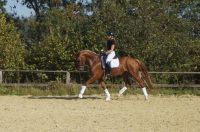 floreana_gal_dsc06700