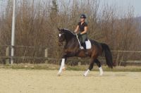 foursocks_gal_dsc00388