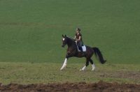 foursocks_gal_dsc00977
