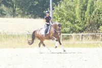 hillary_gal_dsc01068