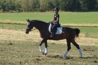 hillary_gal_dsc01670