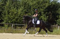 levandano_gal_dsc06066