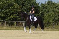 levandano_gal_dsc06464