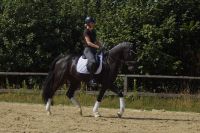 levandano_gal_dsc06543