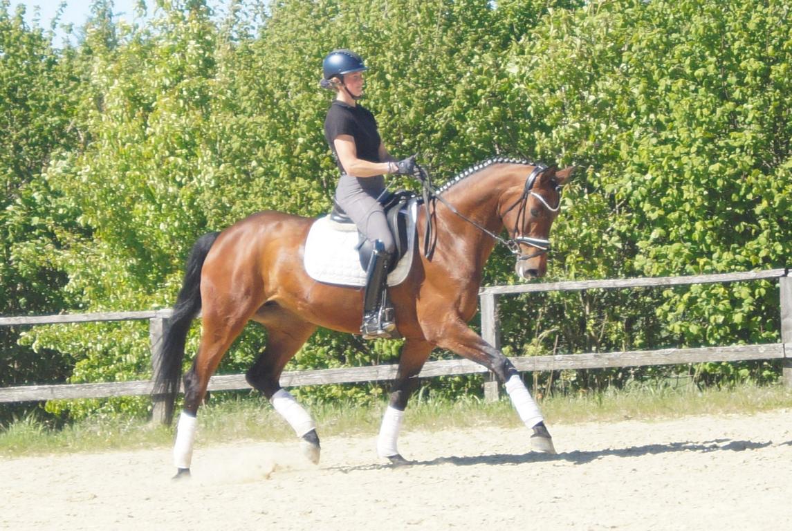 Cascarda