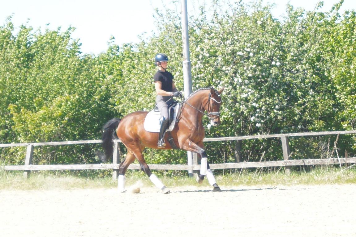 Galeriebild