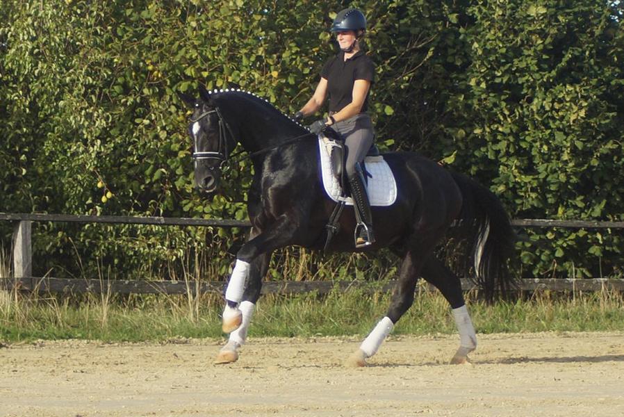 Galeriebild