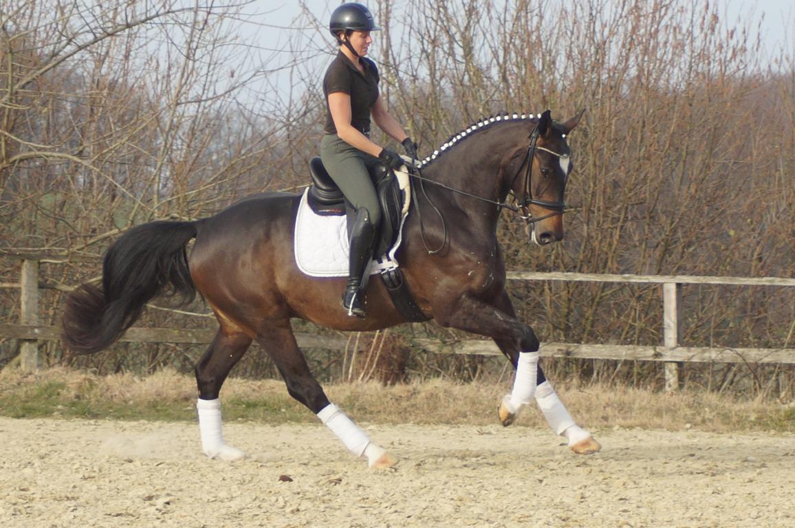 Galeriebild