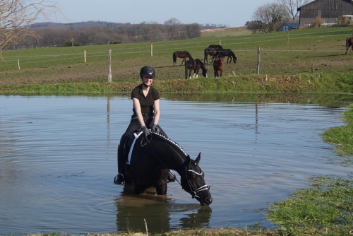 fiorello_ent_dsc02534